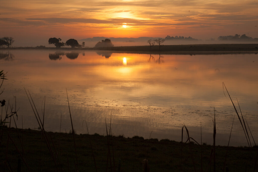 entardecer passo