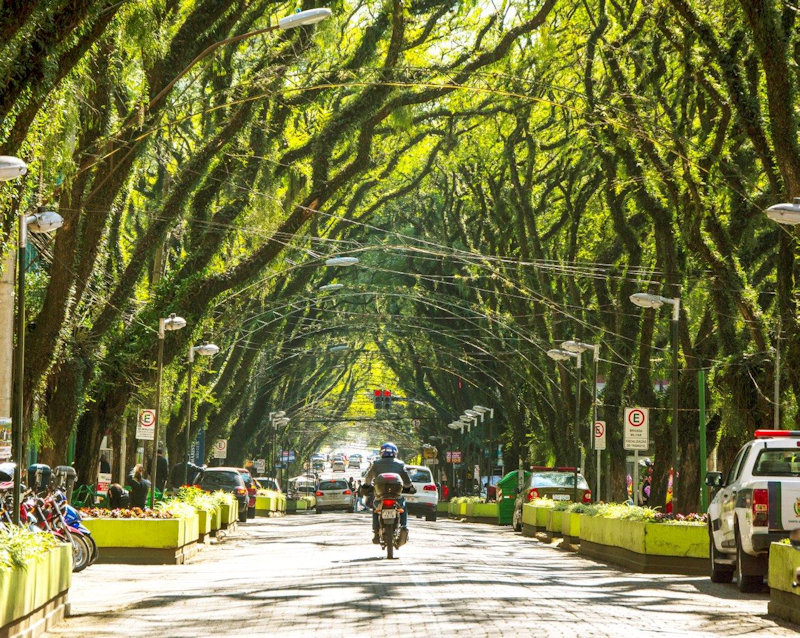 tunel verde