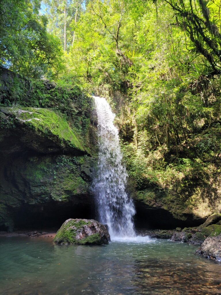 15.Cascata Plums